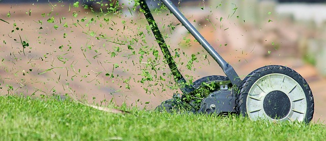 Co to jest wapnowanie trawnika i po co się je stosuje?