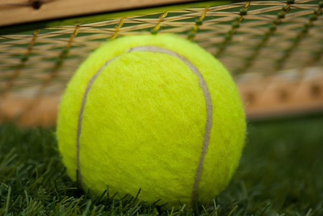 Piłki tenisowe dla dorosłych i dla dzieci – czym się różnią i jakie wybrać?